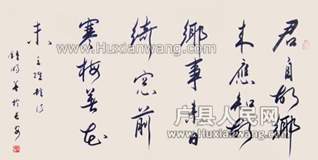 xin_51210062516259681885817.jpg
