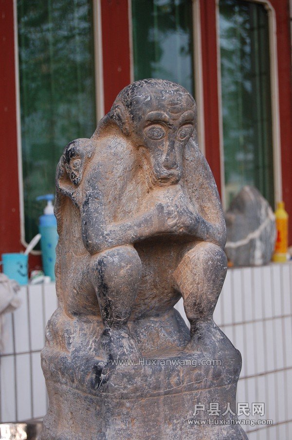 DSC_0021ͼ.JPG