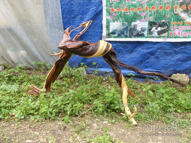 04.jpg