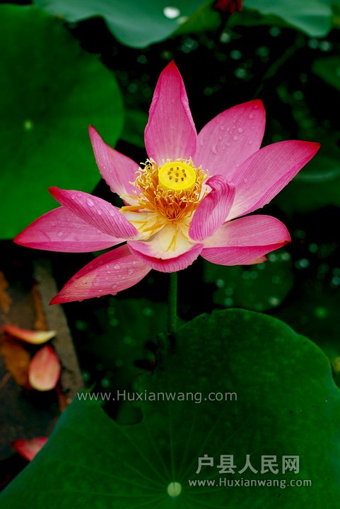 nEO_IMG_DSC_8973.jpg