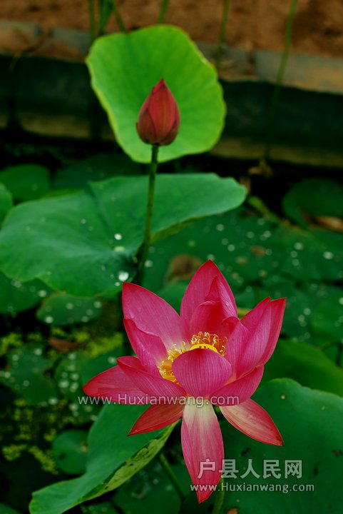 nEO_IMG_DSC_8976.jpg