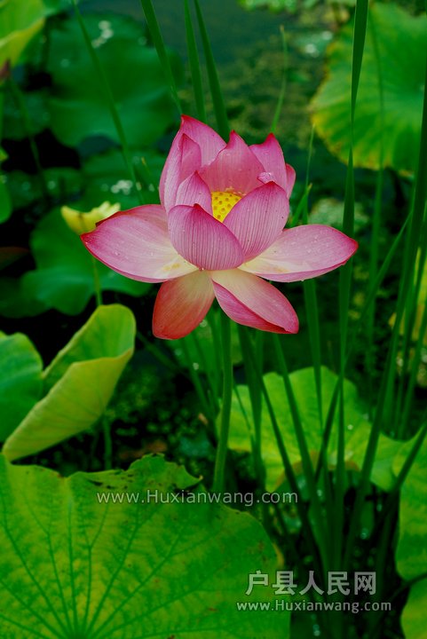 nEO_IMG_DSC_8977.jpg