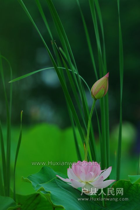 nEO_IMG_DSC_9363.jpg