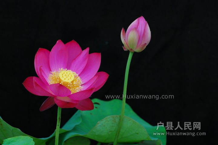 nEO_IMG_DSC_9364.jpg