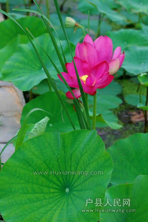 nEO_IMG_DSC_9368.jpg