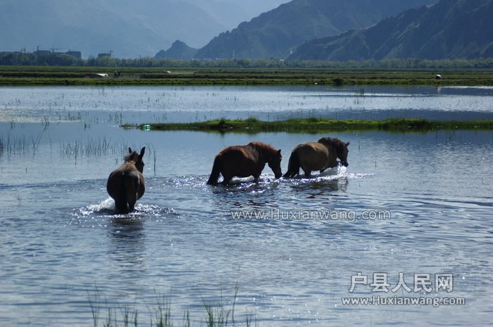 DSC_0148_С.jpg