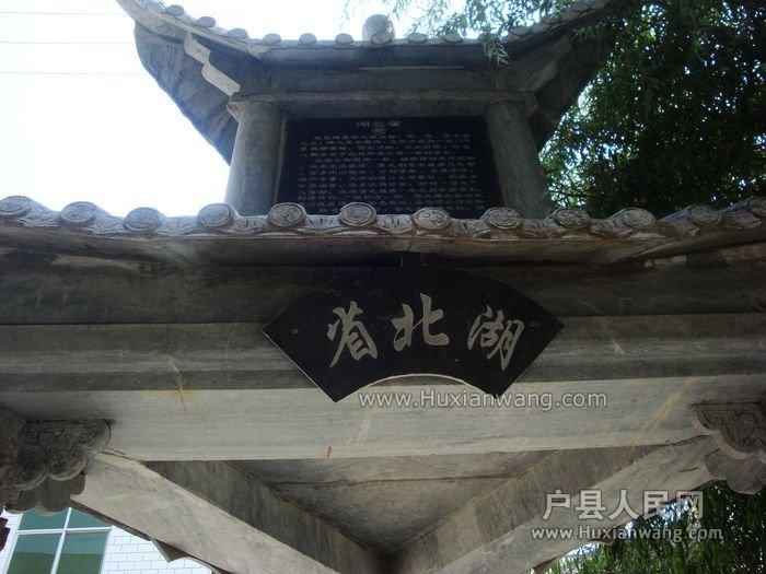 DSC08141.jpg