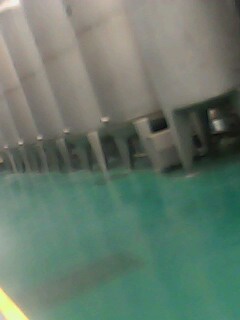 IMG0185A.jpg