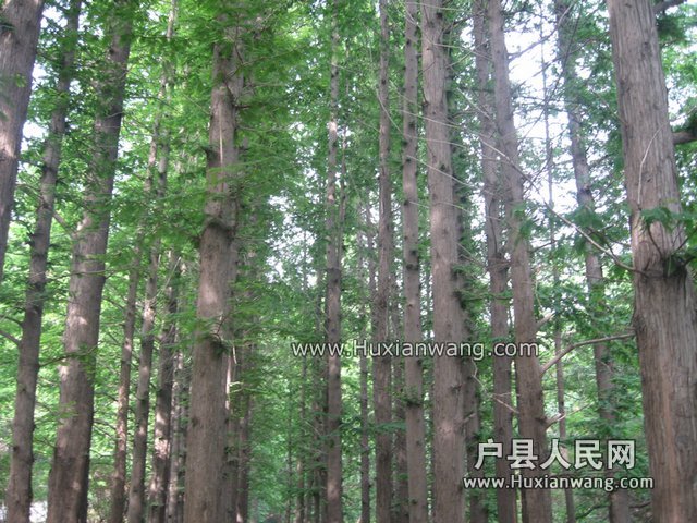 110113cnx0jn0chhc0xccj.jpg
