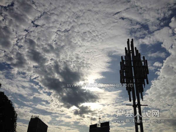 IMG_0074.jpg