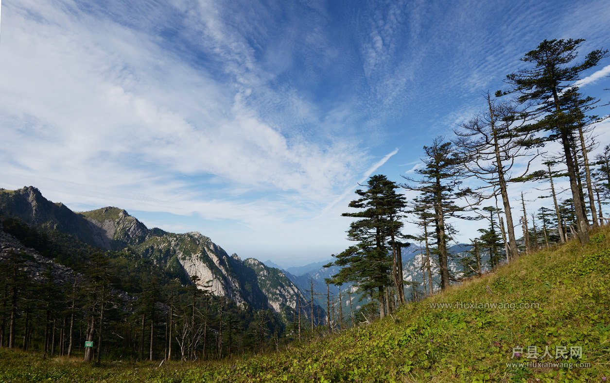 DSC_0829.JPG