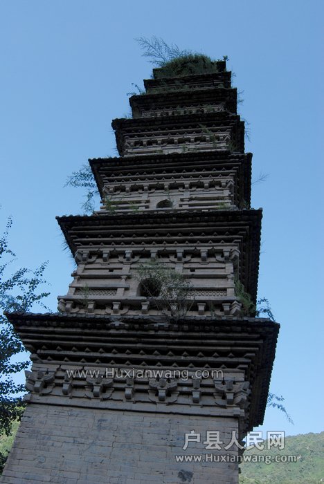 DSC_1115.jpg
