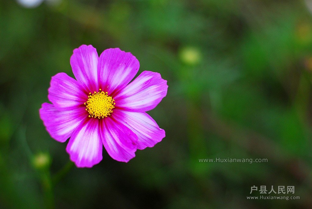 DSC_5857.JPG