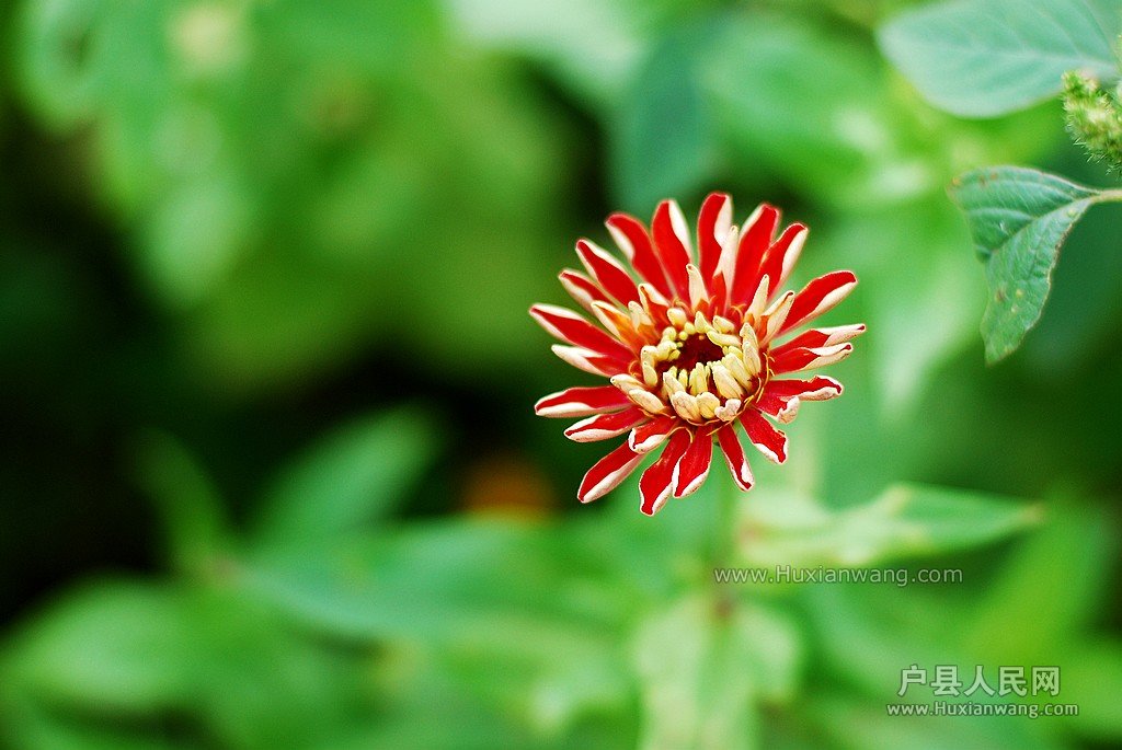DSC_5865.JPG