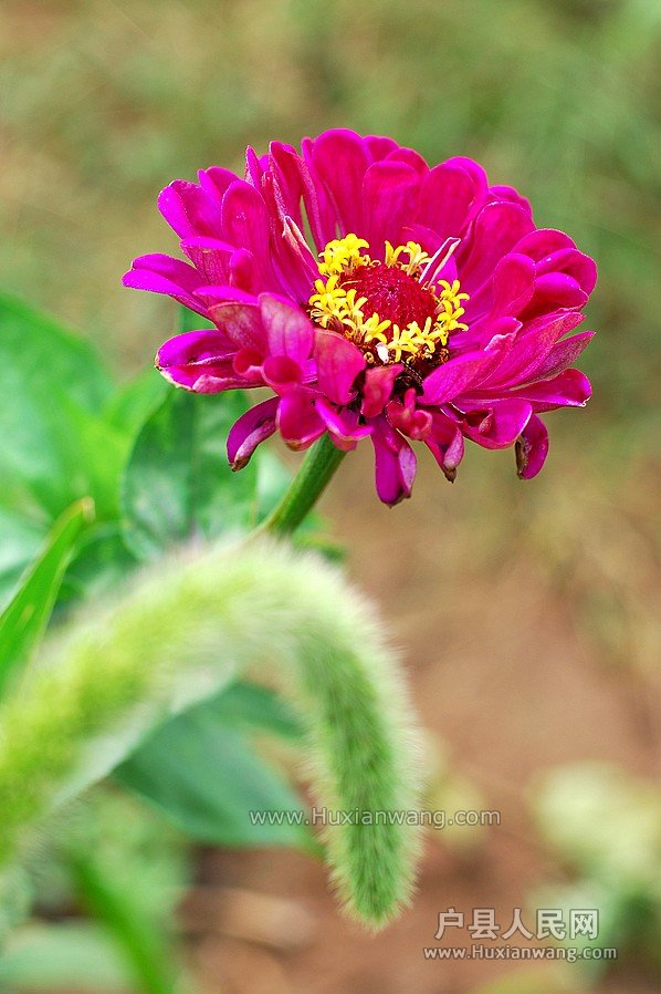 DSC_5904.JPG
