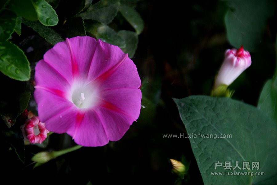 ǣţ (13).jpg