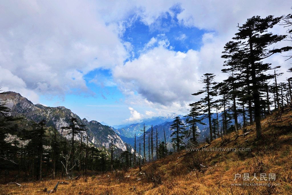 DSC_1495.JPG