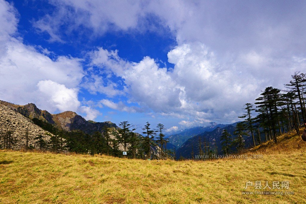 DSC_1496.JPG
