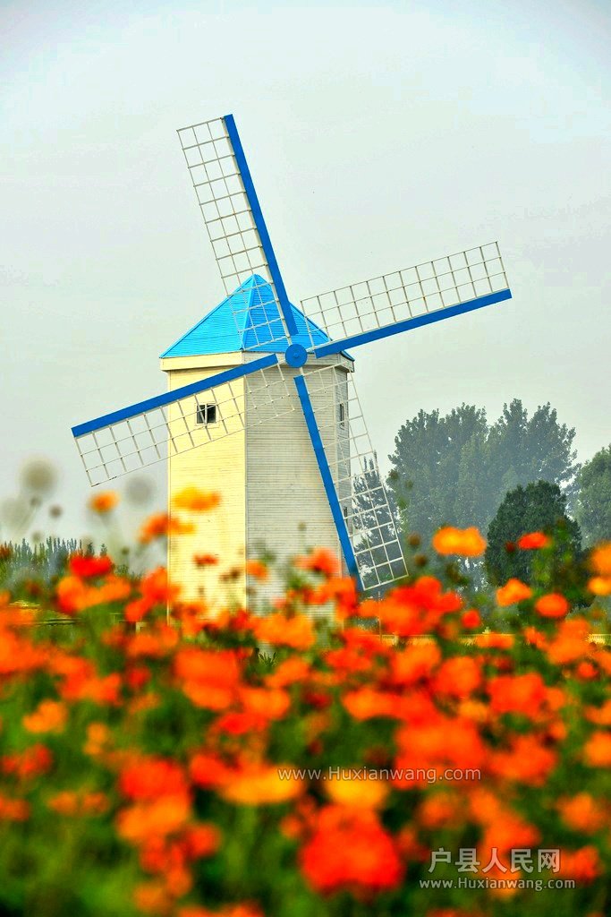 DSC_2088.JPG