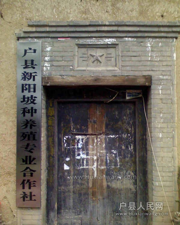 IMG1021111703.jpg