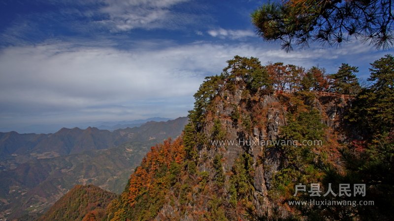 IMG_8478.JPG