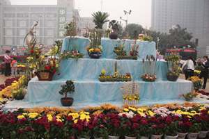IMG_3837.jpg
