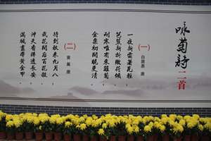 IMG_3852.JPG