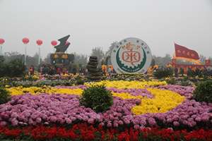 IMG_3951.JPG