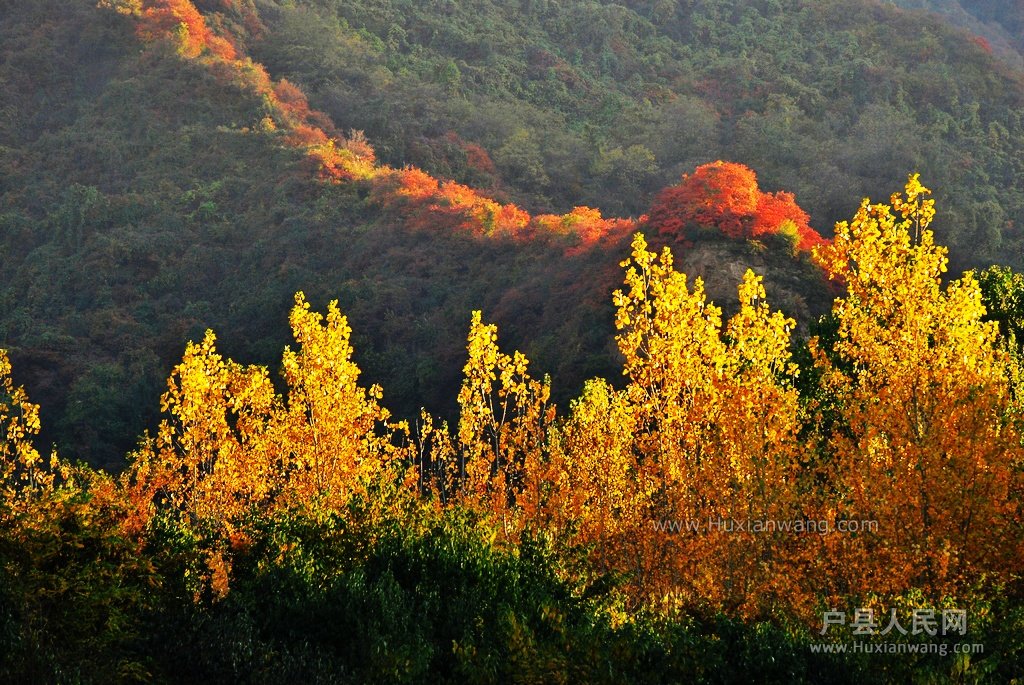 DSC_6290.JPG