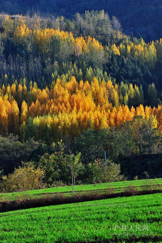 DSC_6550.JPG