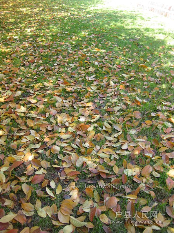 IMG_7925_.jpg