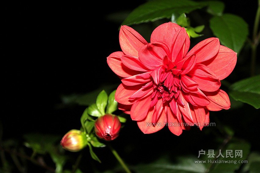 IMG_6798_conew1.jpg