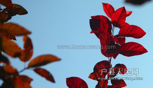 Ƭ 041_.jpg