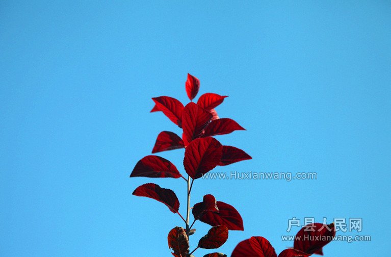 Ƭ 043_.jpg
