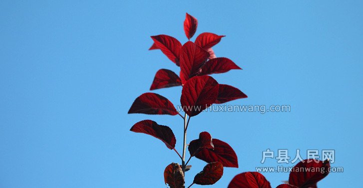 Ƭ 044_.jpg