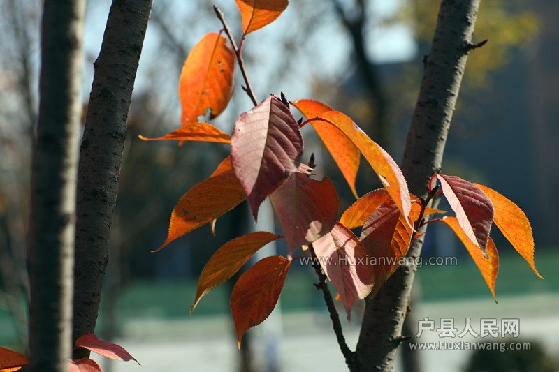 Ƭ 066_.jpg