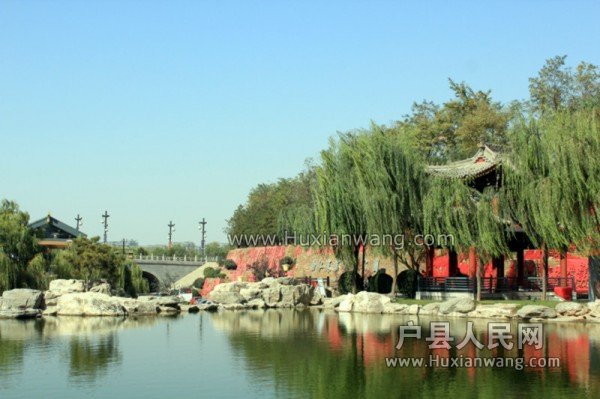 conew_img_7158_.jpg