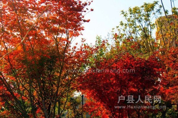 conew_img_7398__.jpg