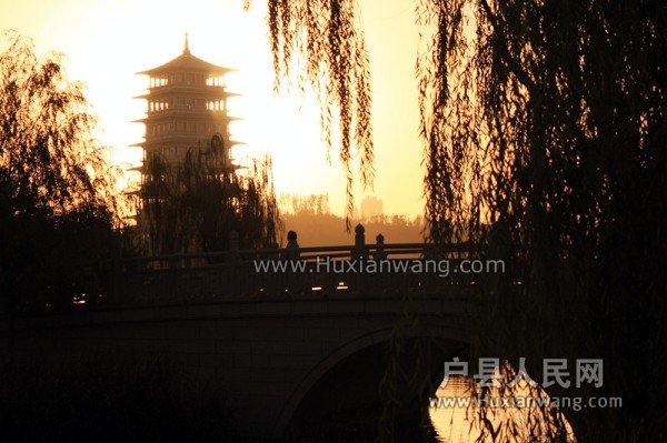 conew_img_7493_.jpg