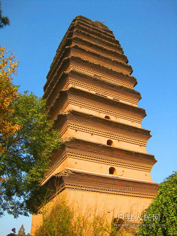 IMG_8050__.jpg