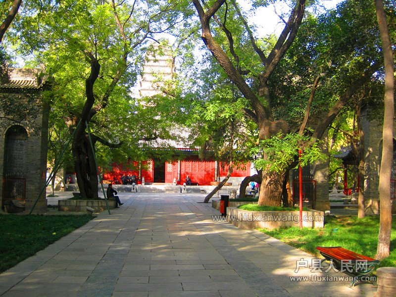 IMG_8063__.jpg