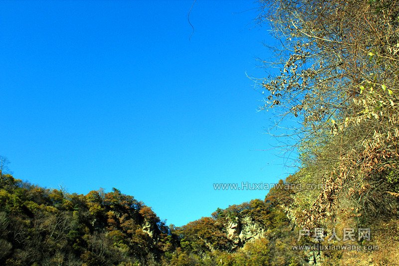 IMG_7745_.jpg
