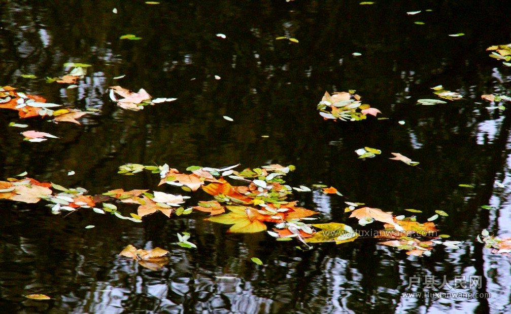 conew_img_9235_conew1.jpg
