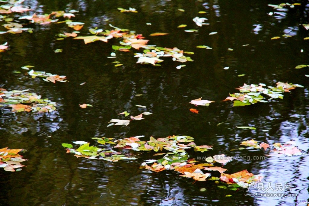 conew_img_9238_conew1.jpg