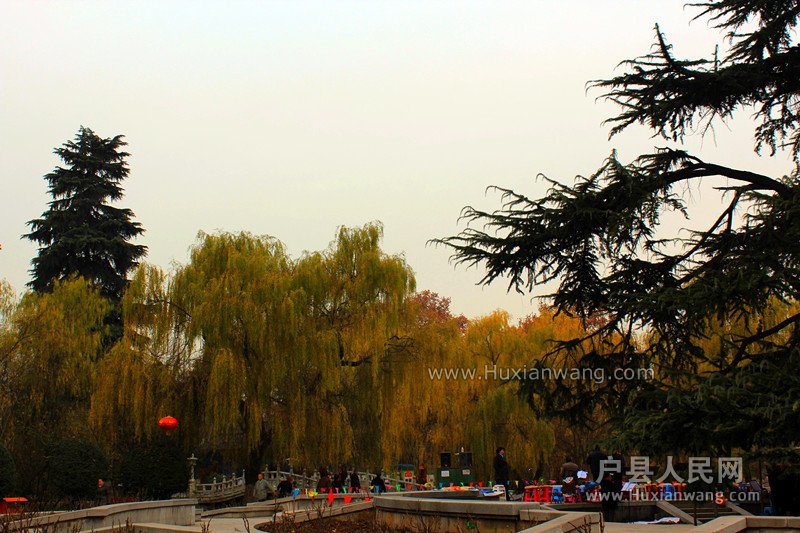 IMG_8495_.jpg
