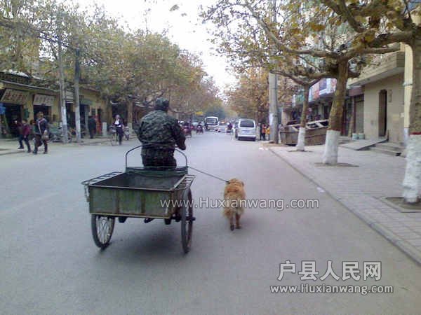 IMG1129112900.jpg