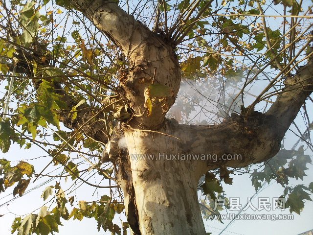 Ƭ0791.jpg