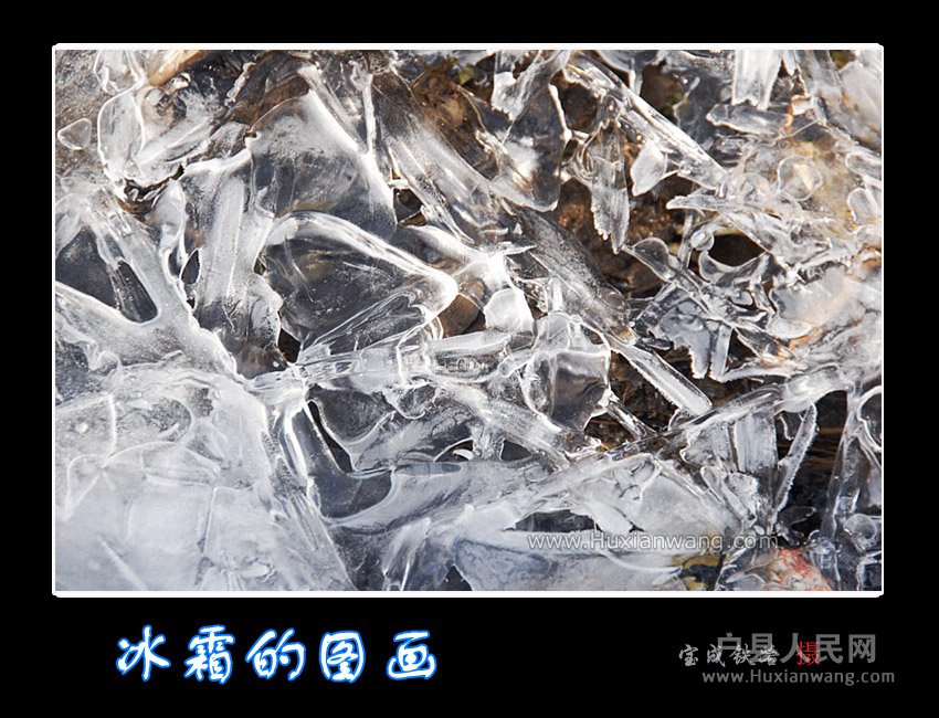 shuang (1).jpg