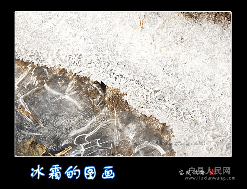 shuang (2).jpg