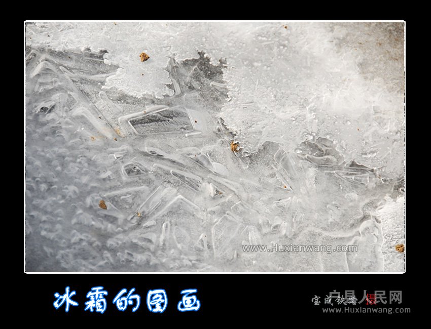 shuang (4).jpg
